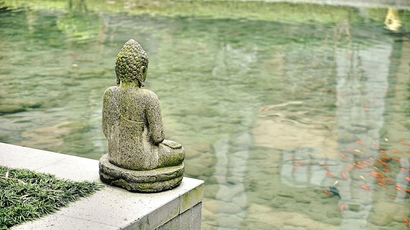 Buddha Statue in Zen Garden